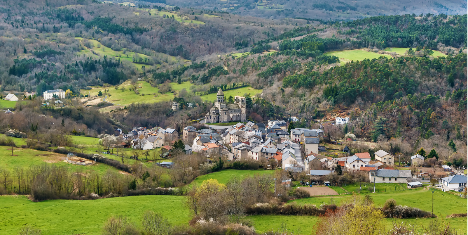 Saint Nectaire