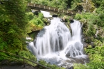 Triberg