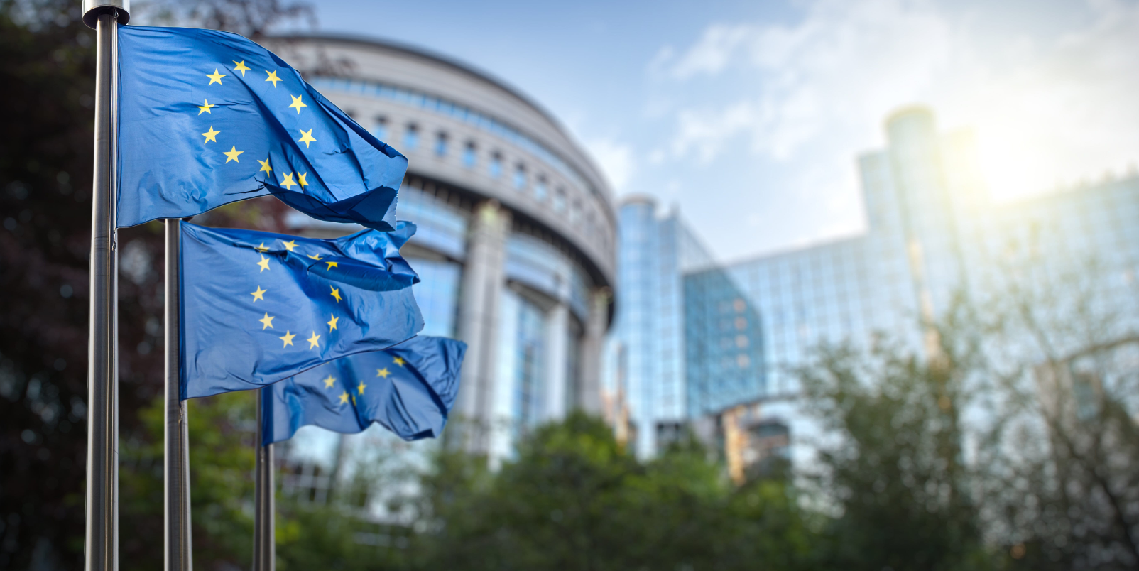 European Union flag in Brussels