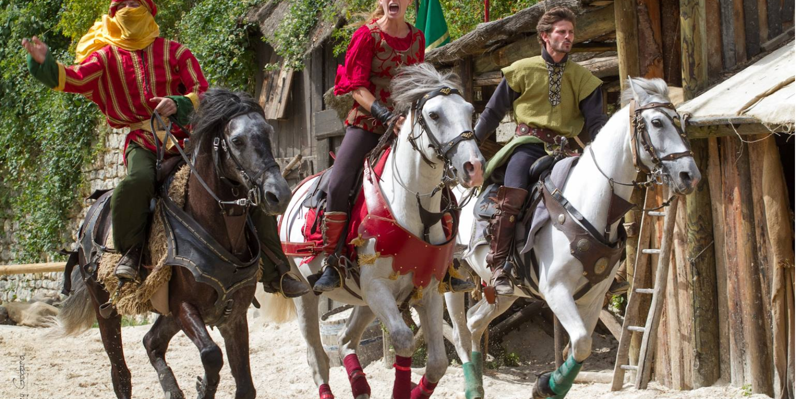 Spectacle Provins