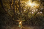 Forêt de Paimpont