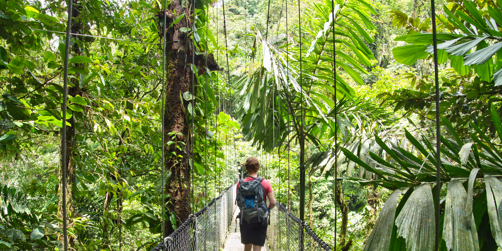 Ponts suspendus - Costa Rica