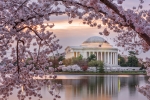 Jefferson Memorial