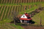 Tokaj