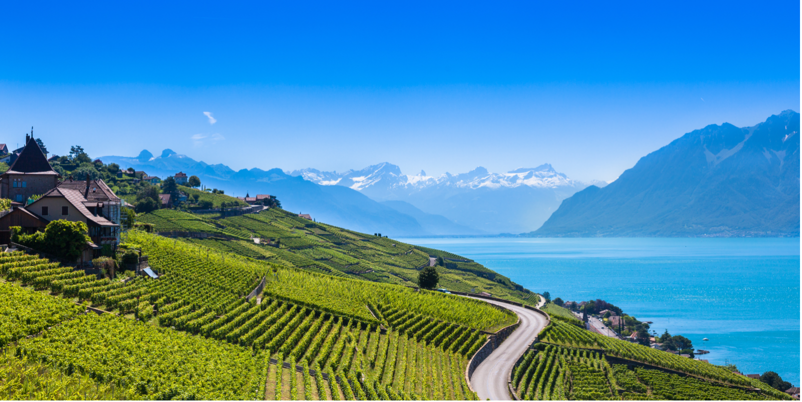 Vignobles de Lavaux