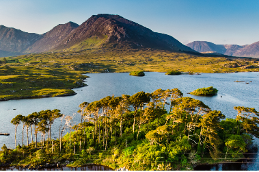 Un voyage émeraude en Terre Celte - Leinster (Dublin)