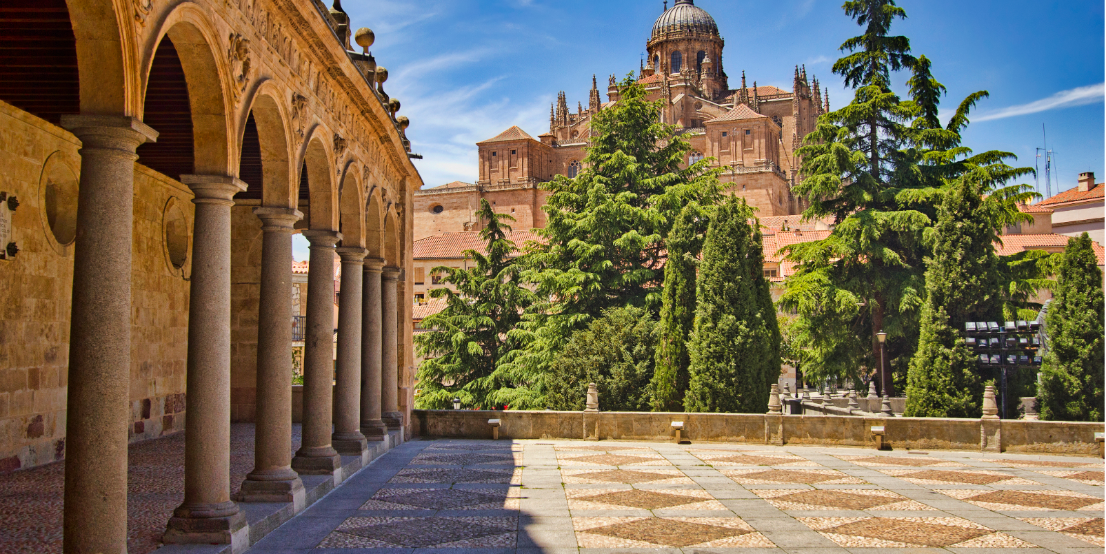 Cathédrale Salamanque