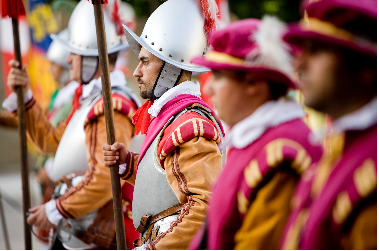 Les Chevaliers de Malte - 