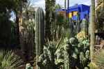 Jardin Majorelle