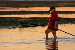 Pêche à pied - Luc sur Mer