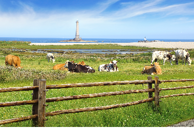 Cap sur Cherbourg et Tatihou - Normandie