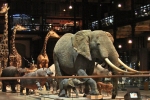 La galerie de l'évolution