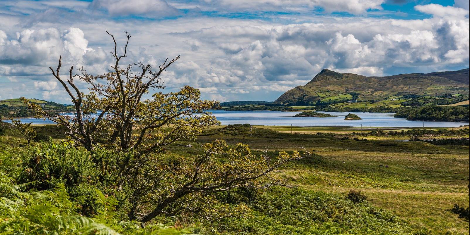 Connemara National Park