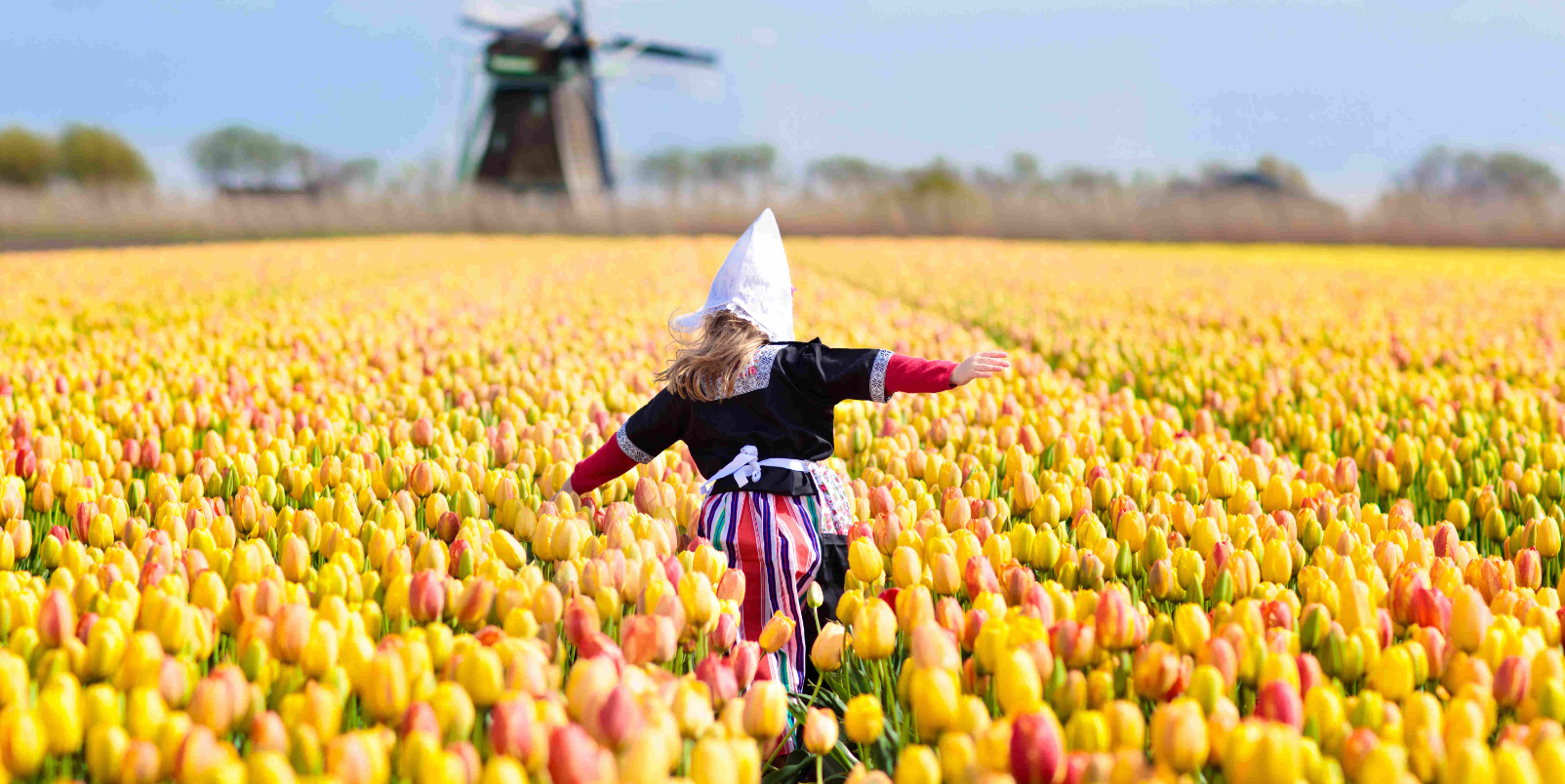 Child in tulip flower in Holland