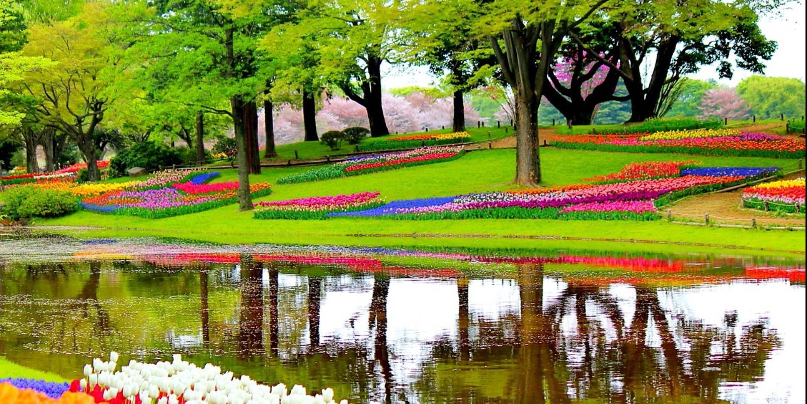 Parc du Keukenhof