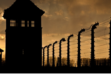 Cracovie - Auschwitz : histoire et mémoire - 