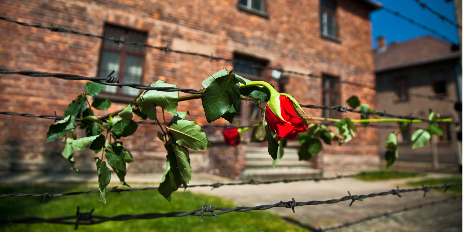 Camp d'Auschwitz-Birkenau