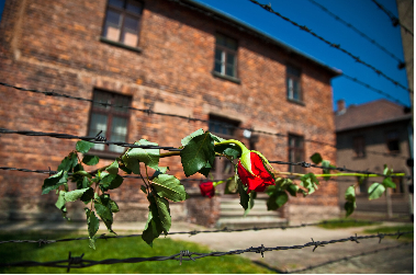 La route de la Shoah : de Berlin à Cracovie - Pologne
