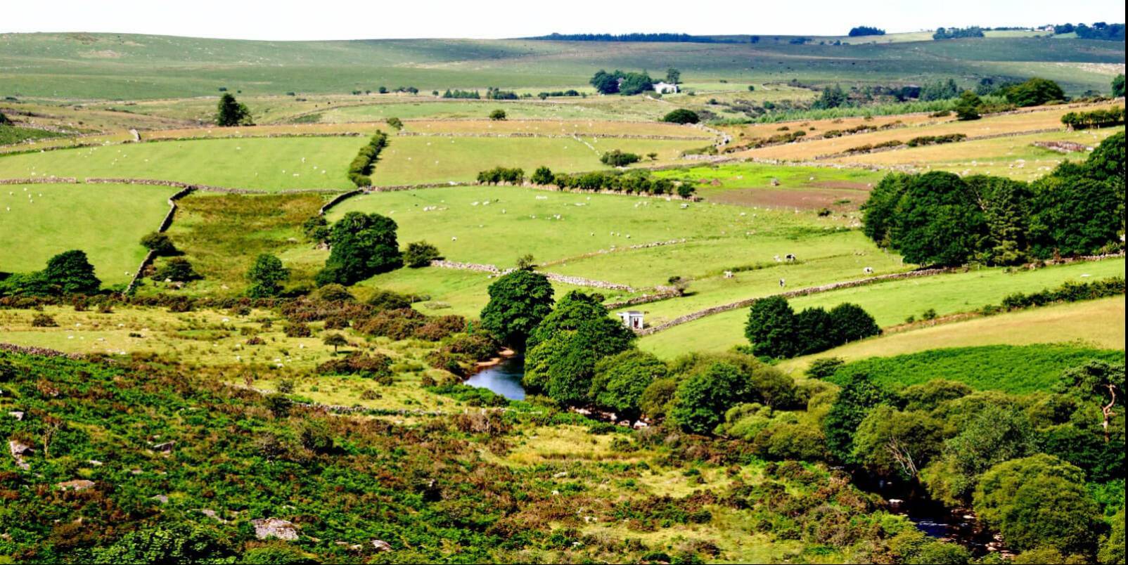 Parc national du Dartmoor