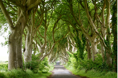 L'Irlande de Game of Thrones® - 